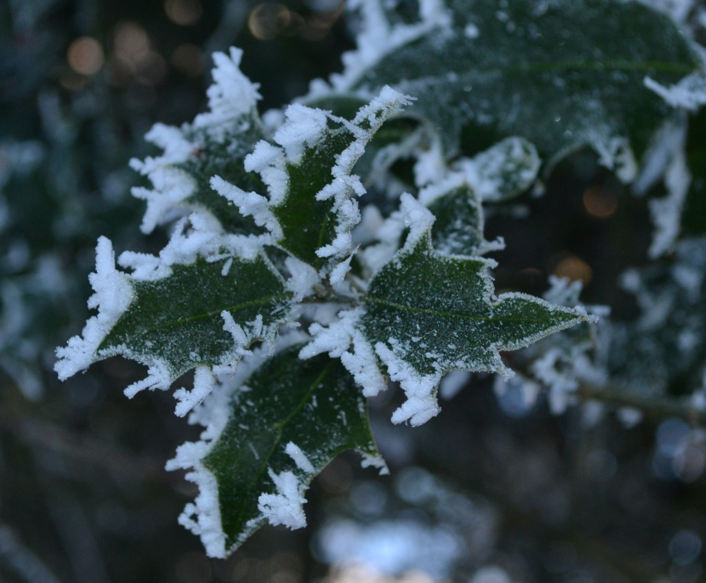 Jack Frost, Mischief&nbsp;Maker