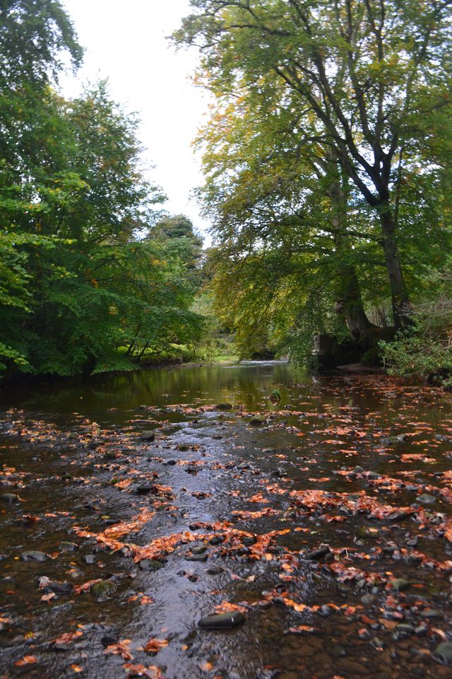 Eskbank Walk Highlights                        E2: Maidens & Ice