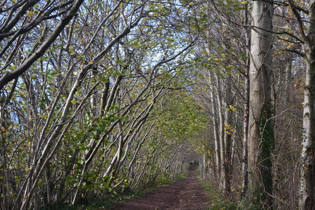 New Year, New&nbsp;Start