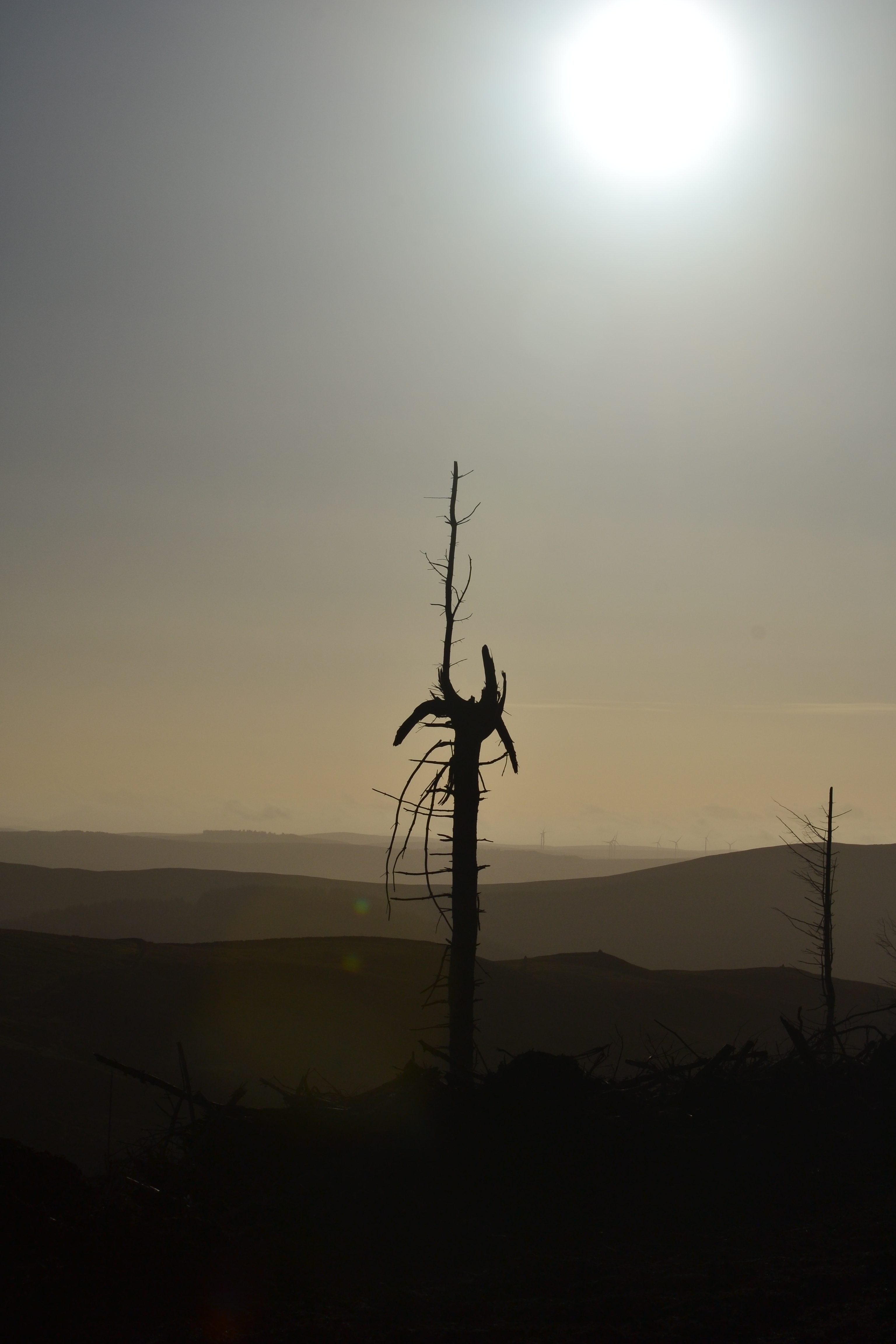 Autumnal Equinox