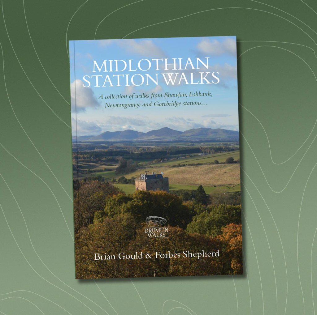 Exciting New Arrival!