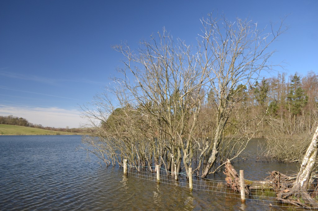 April, Stress Awareness&nbsp;Month