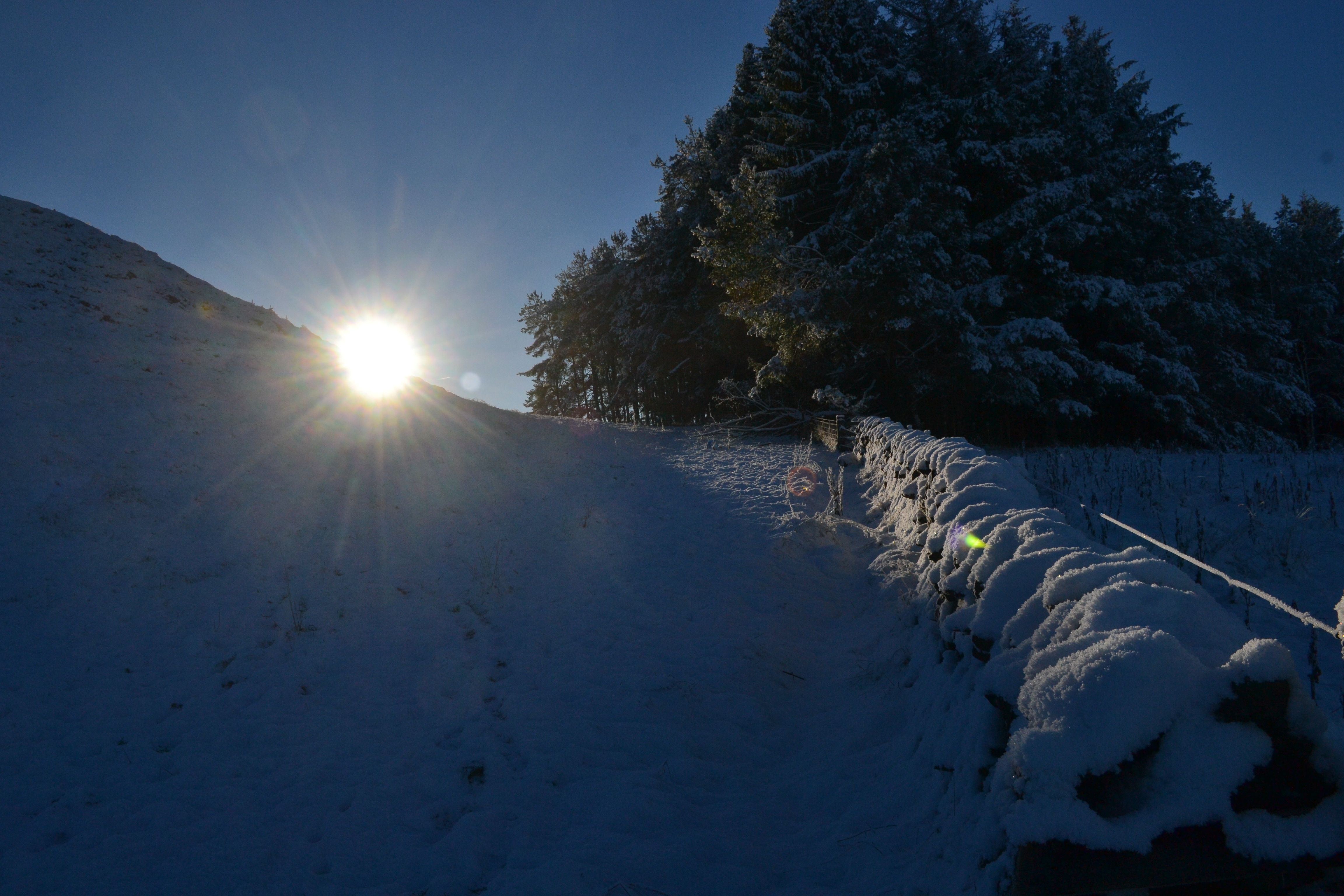 Walking and the Winter Blues
